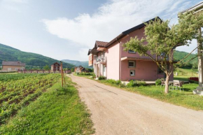 Elvis Apartments, Plav